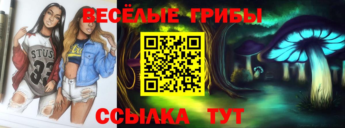 Ивантеевка  Галлюциногенные грибы мицелий  Вход с VPN  Псилоцибиновые грибы мицелий 